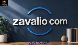 zavalio-com